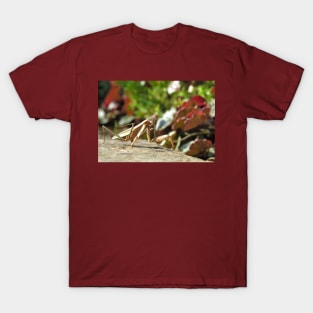 Praying Mantis No.1 T-Shirt